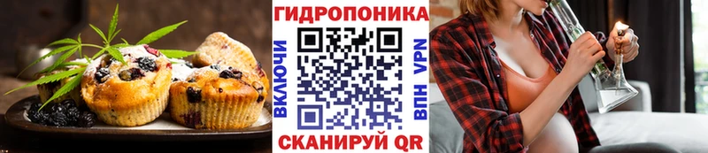 Canna-Cookies марихуана  Вятские Поляны 