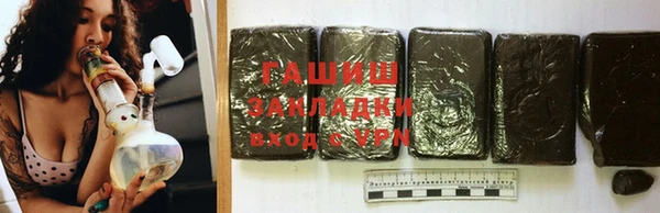 PSILOCYBIN Белокуриха