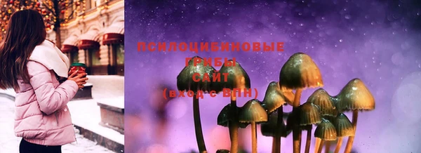 PSILOCYBIN Белокуриха