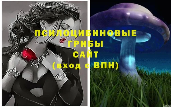 PSILOCYBIN Белокуриха