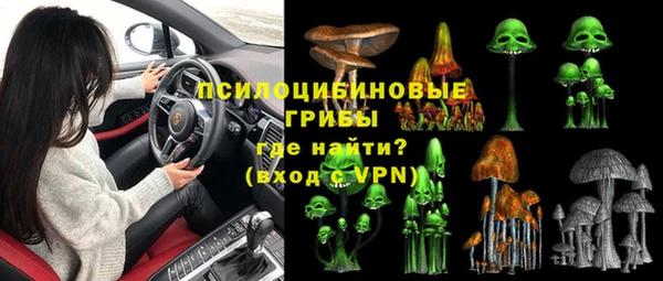 PSILOCYBIN Белокуриха
