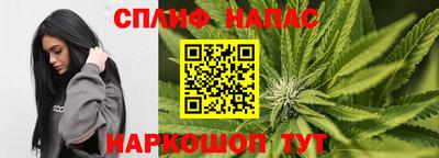 стаф Волгодонск