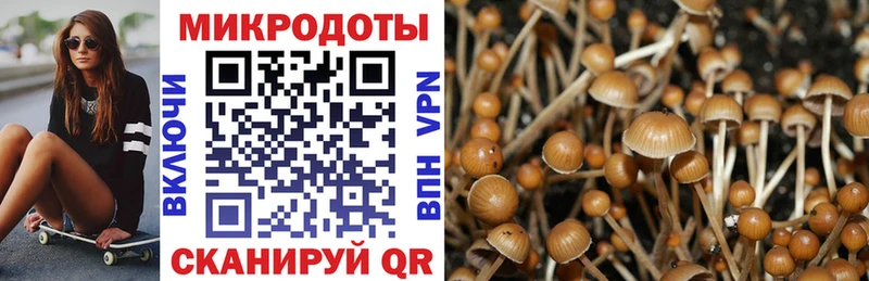 omg как зайти  Вятские Поляны  Галлюциногенные грибы ЛСД 