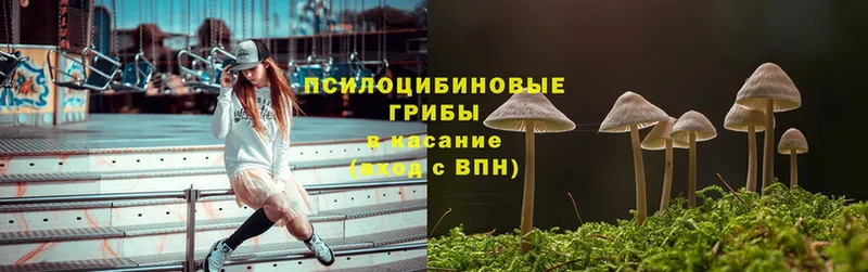 Псилоцибиновые грибы GOLDEN TEACHER  omg ONION  Вятские Поляны 