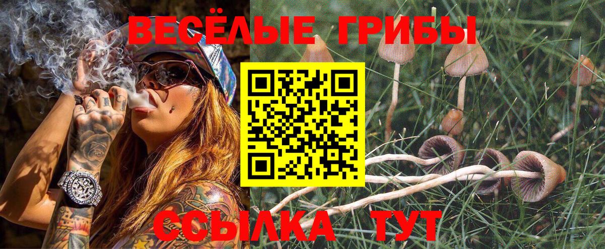 Галлюциногенные грибы ЛСД Вятские Поляны